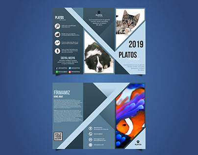 Brochure Design / Broşür Tasarımı