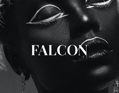 DEM - Submission Falcon Magazine
