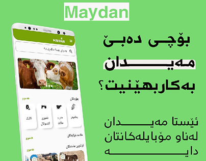 design for Maydan company, mobile application