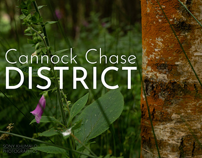 Cannock Chase District