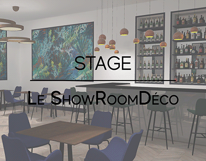 Stage chez "Le Showroom Déco", Lyon