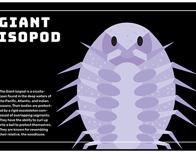 Giant Isopod Poster