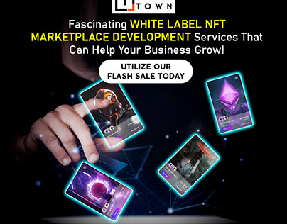 Fascinating White label NFTMarketplace Development Firm