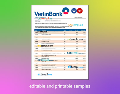 Vietin Bank firm account statement template