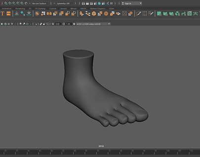 Foot Topology