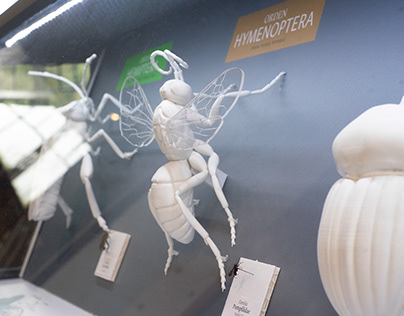 Modelado 3d insectos