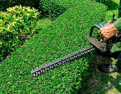 Best Landscape Services in Newberg OR