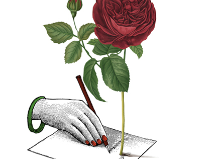 Illustration for Jo Malone red rose perfume online camp
