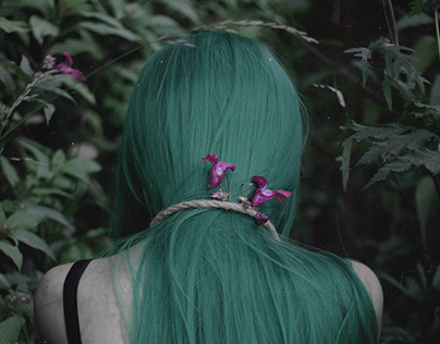 Green Forest Suicide