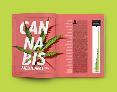 Cannabis medicinal: o que esperar dela?