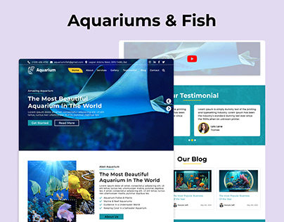 Aquariums & Fish