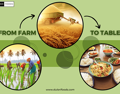 The Journey of Basmati Rice: From Farm to Table