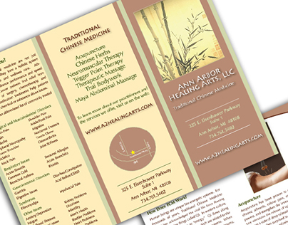 Informational Brochure for Acupuncturist