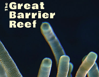 Great Barrier Reef Brochure rework