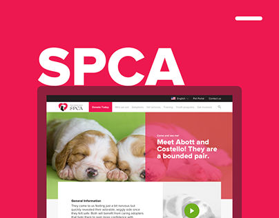 SPCA - SF Website Concept