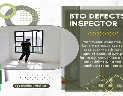 BTO Defect Inspector