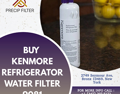 Kenmore Refrigerator Water Filter 9081