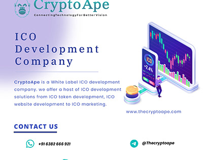 Choose the ICO Development Company for Your Project
