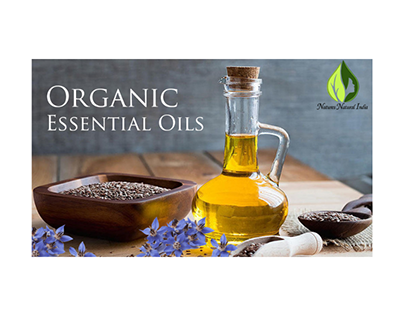 Essential Oil Suppliers Choose the Best for Your Needs