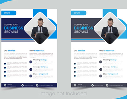businesss flyer template or vector