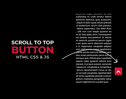 Scroll To Top Button with HTML CSS JS