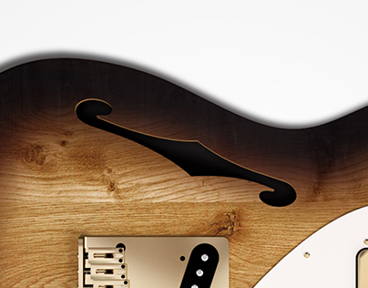 Fender - 69 Telecaster - Thinline Carbon