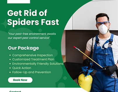 Get Rid of Spiders Fast: Top Melbourne Exterminator
