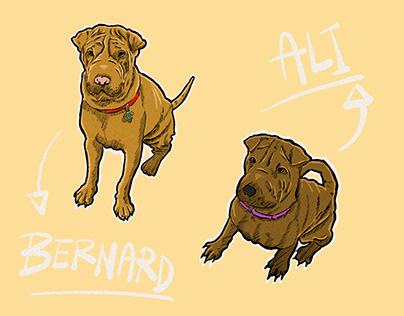 Bernard and Ali