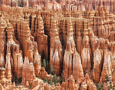 Bryce Canyon NP, UT (part of a series)