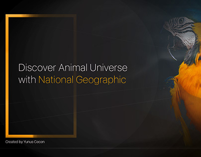 National Geographic Banner Design with Photoshop