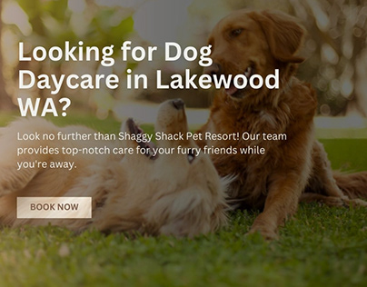Looking for Dog Daycare in Lakewood WA?