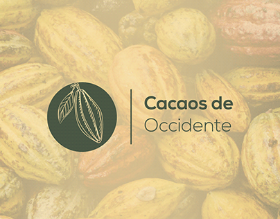 Presentación / Cacaos de Occidente
