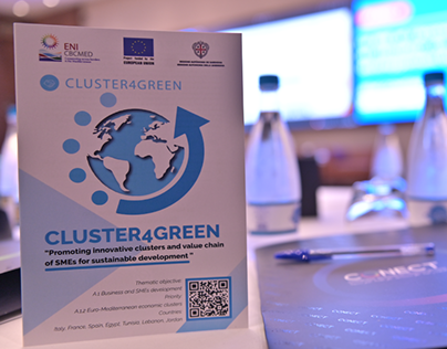 Brochure Design For cluster4Green Project