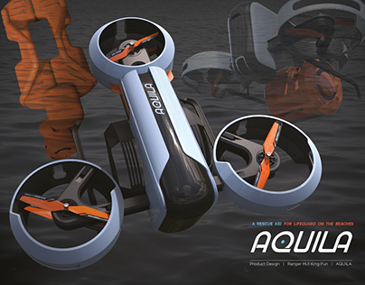 AQUILA - A rescue aid for lifeguard on the beaches