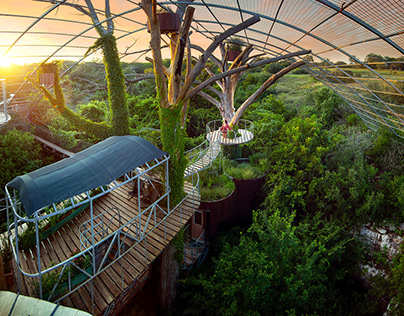 Treehouse project for Photographer kevin Steele