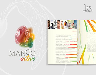 MANGO. 1st Magazine of LatinAmerica Entrepreuners