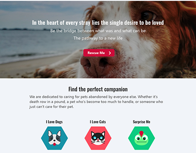 Rescue+Me - A pet rescue and adoption website
