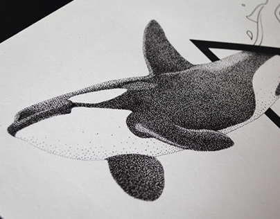 Orcinus Orca - Millions of dots