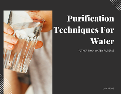Purification Techniques For Water | Lisa Stone