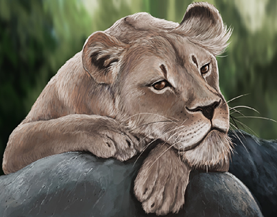 Digital painting of a Lion