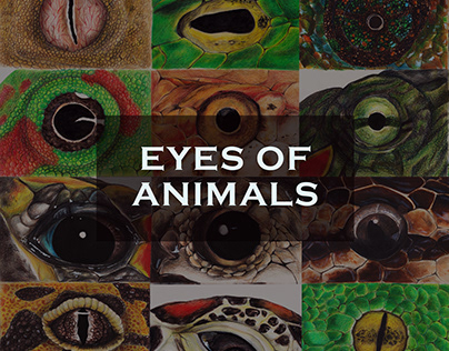 Animal's Eye Series