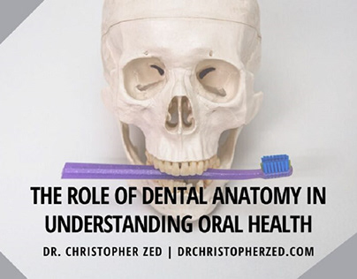 Dental Anatomy in Understanding Oral Health