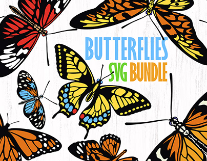 butterflies vector bundle