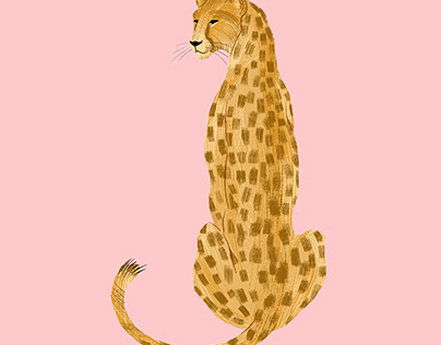 Snazzy Cheetahs