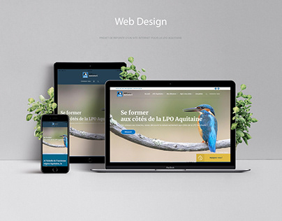 Webdesign, Expériences Utilisateurs- LPO Aquitaine