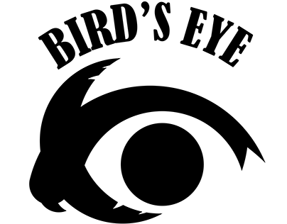 ''Bird's eye'' optical illusion logo