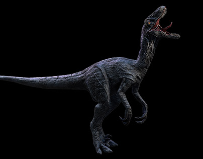 Raptor | Velociraptor Dinosaur | Ngchipv