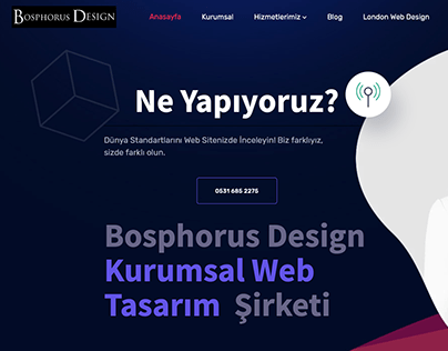 Ortaköy Web Tasarım: Bosphorus Design