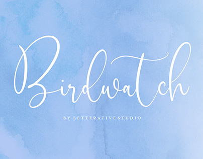 FONT | Birdwatch Luxury Modern Calligraphy