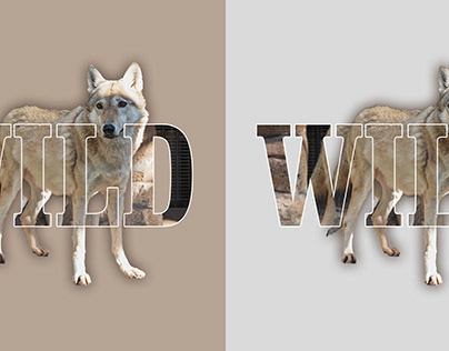WILD WOLF TYPOGRAPHY